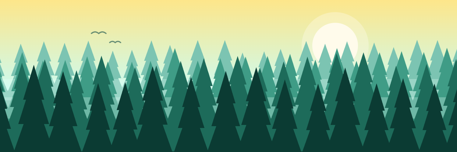 Forest morning
